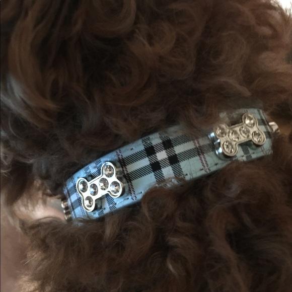 NWT New Blue Bone Bling Pet Collar - Medium - Picture 6 of 8